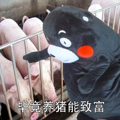 清欢网 软件专题 抖音玩法大全_抖音教程专区 → 如何养猪表情包-养猪