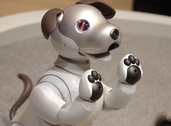 电子狗领养前也可以先评估试养，Sony在日本提供Aibo试养租赁