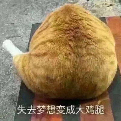 清欢网