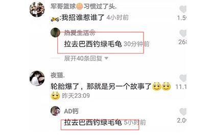 抖音拉去巴西钓绿毛龟什么意思 拉去巴西钓绿毛龟网络用语含义