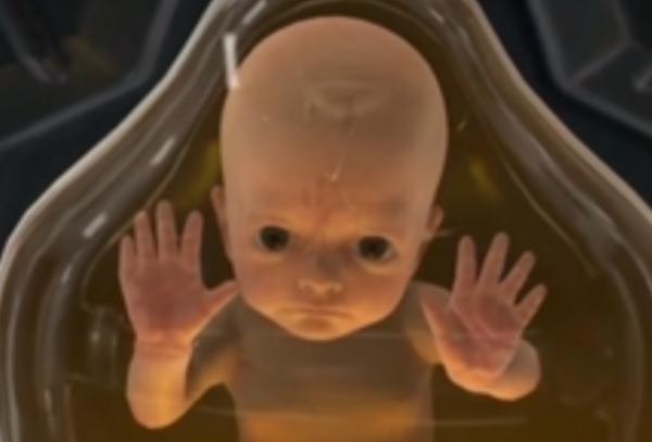 《死亡搁浅》中的奇怪婴儿会透过PS4手把来与玩家对话