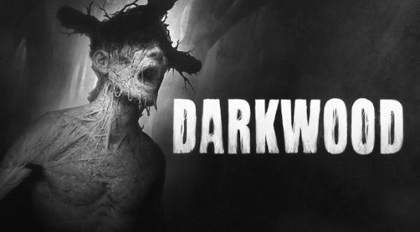 《阴暗森林(Darkwood)》游戏怎么样 《阴暗森林(Darkwood)》游戏好玩吗