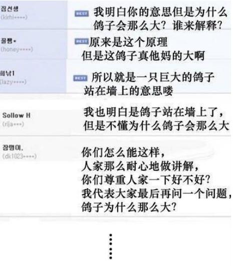 鸽子为什么这么大原图表达了什么