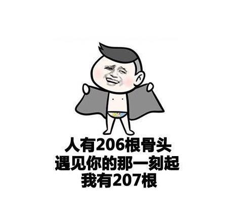 207根骨头是什么意思-内涵释义