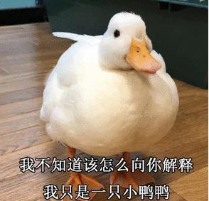 清欢网