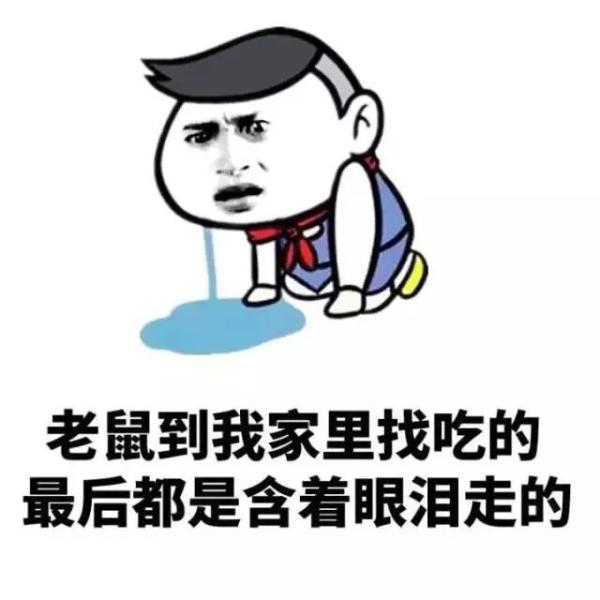 清欢网