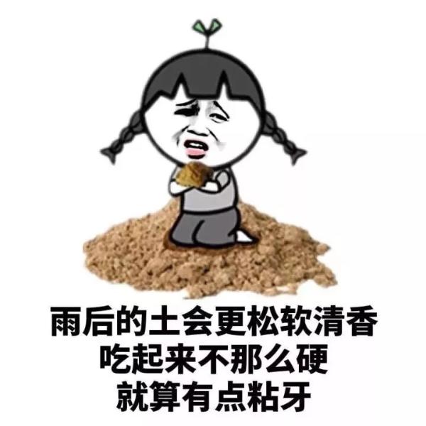 清欢网