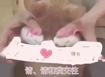 可爱猫咪表情包-抖音萌萌猫咪表情包