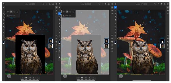 Adobe在Photoshop on iPad新增选取主体功能