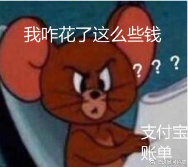 我哪来这么多钱表情包-我有这么多钱吗的图片