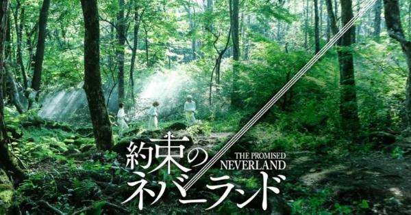 真人电影《约定的梦幻岛》将由北川景子与渡边直美饰演妈妈以及修女