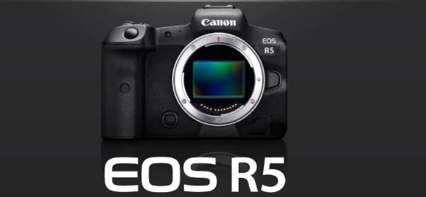 Canon公布EOS R5功能介绍：具备AF特定动物辨识与8K录影功能