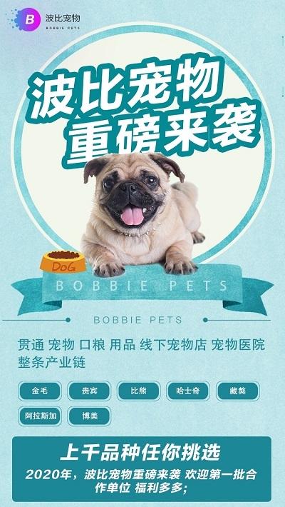 波比宠物app下载-波比宠物（区块链）安卓版下载 v1.0