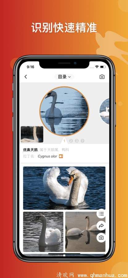 形色识鸟app下载-形色识鸟手机版下载 v1.0