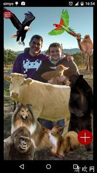 真实的动物照片贴纸app下载-真实的动物照片贴纸手机版下载 v12.0