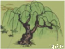 江南百景图百年老木在哪获得-怎么获得