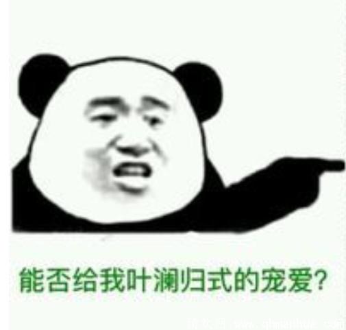 叶澜归式宠爱什么意思？是贬义吗