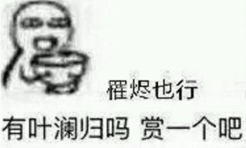 叶澜归式宠爱什么意思？是贬义吗