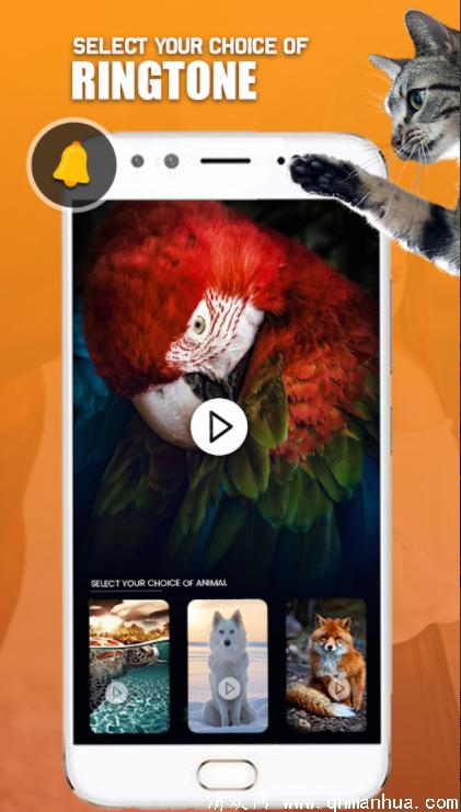 动物铃声app下载-动物铃声安卓手机软件下载 v1.3