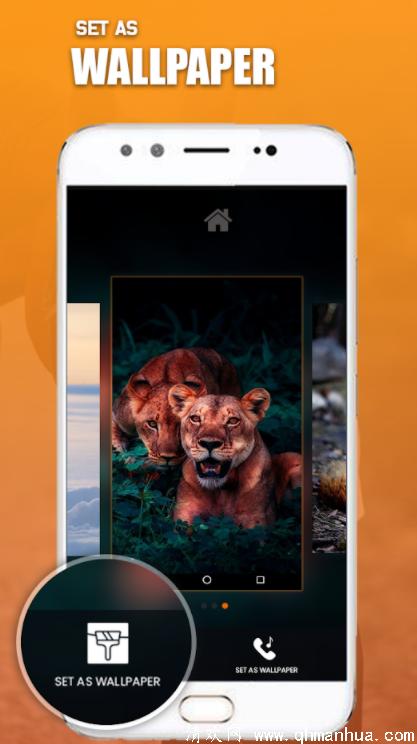 动物铃声app下载-动物铃声安卓手机软件下载 v1.3