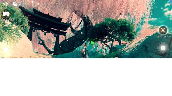 天谕手游紫桐福树在哪