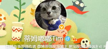 蒂姆嘟嘟tim家哪些猫 蒂姆嘟嘟tim怎么剩两只